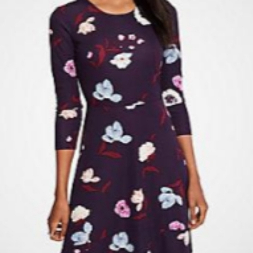 Ann Taylor Floral Long Sleeve Dress - Navy and Multicolor